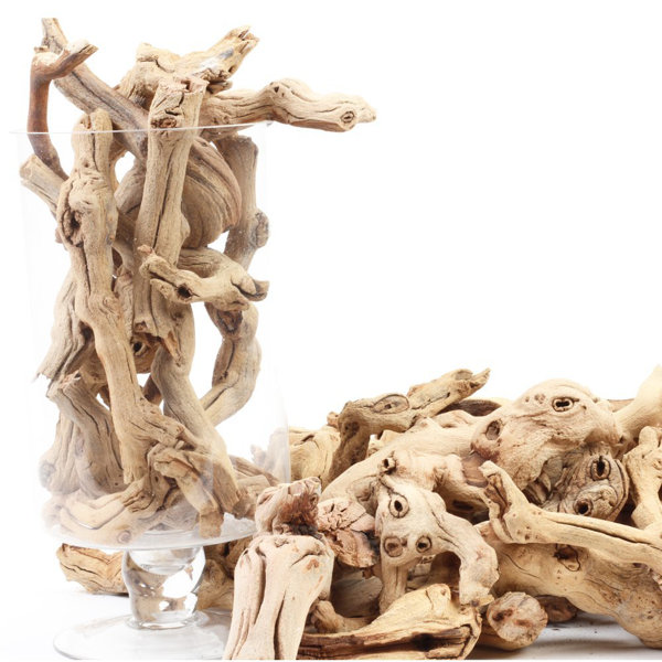 Highland Dunes McKell Natural Vase Filler & Reviews Wayfair